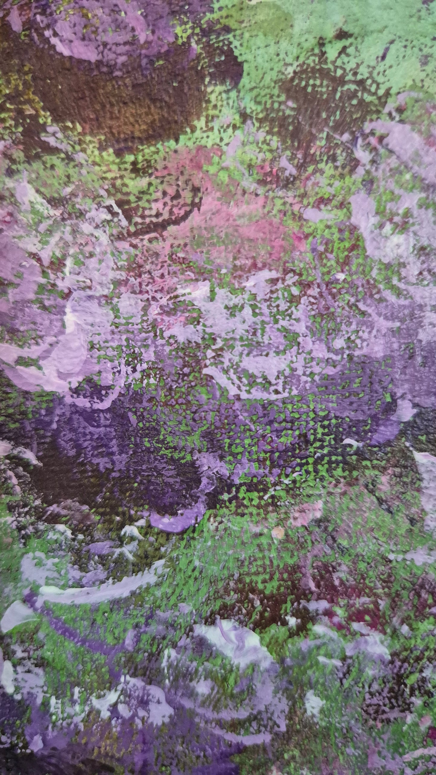 Blooming Lilacs